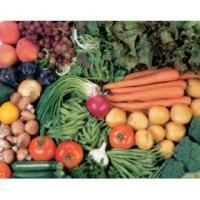 Dr. Robert O. Young Alkaline Diet