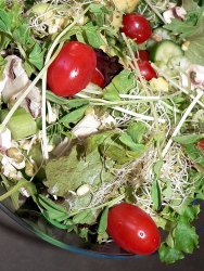 Foods high in alkaline